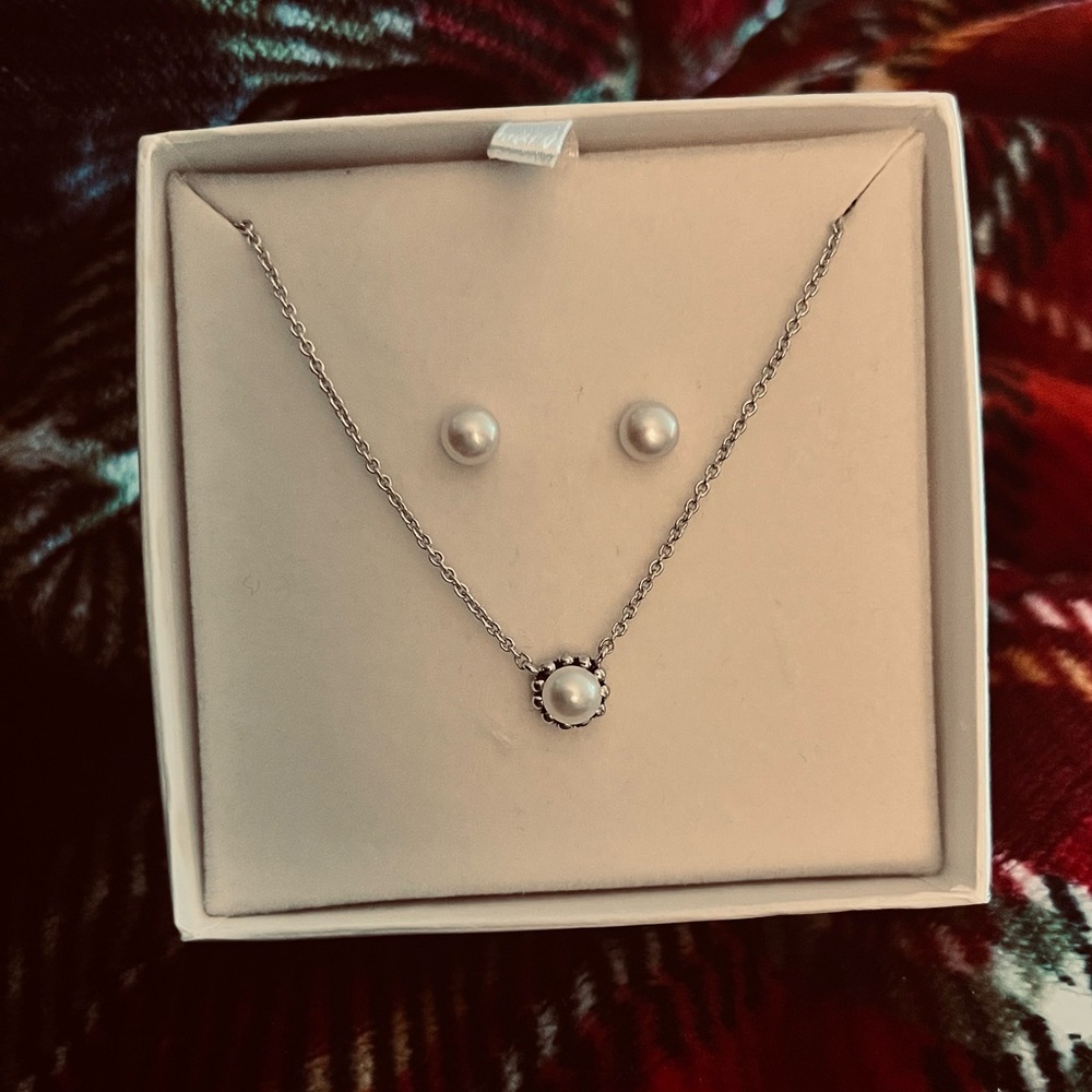 Elegant Silver Pearl Necklace and Earring Set